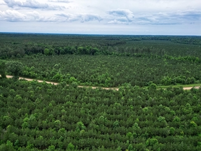 Affordable Hunting Land in Morehouse Parish, LA - image 6