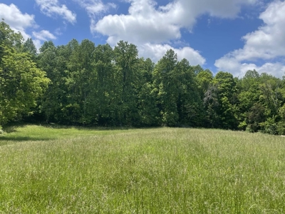Unrestricted Land Near Lake Cumberland - image 12