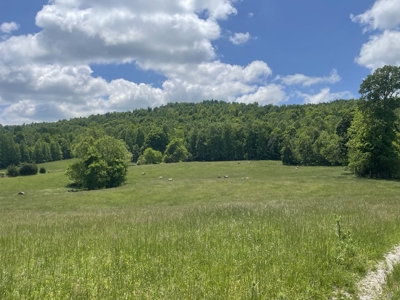 Unrestricted Land Near Lake Cumberland - image 1