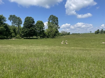 Unrestricted Land Near Lake Cumberland - image 9