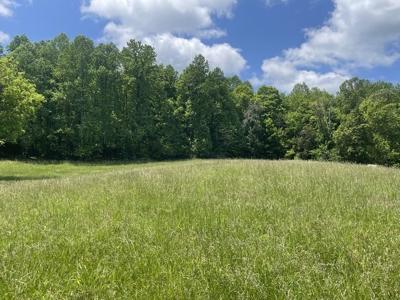 Unrestricted Land Near Lake Cumberland - image 7