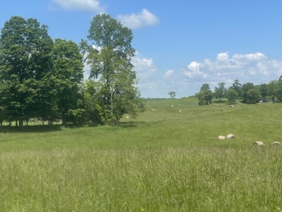 Unrestricted Land Near Lake Cumberland - image 5