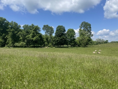 Unrestricted Land Near Lake Cumberland - image 8