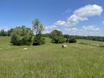 Unrestricted Land Near Lake Cumberland - image 10