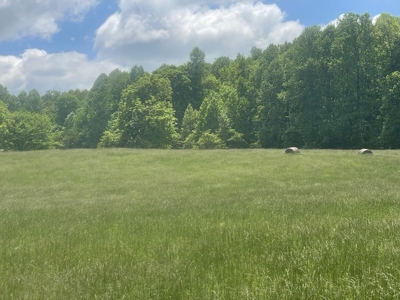 Unrestricted Land Near Lake Cumberland - image 3