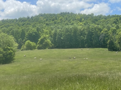 Unrestricted Land Near Lake Cumberland - image 2