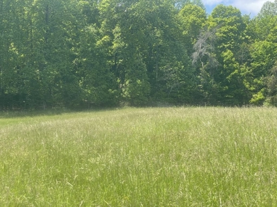 Unrestricted Land Near Lake Cumberland - image 6