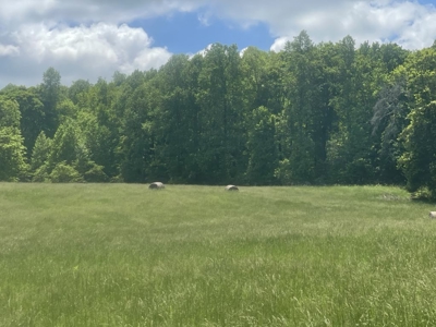 Unrestricted Land Near Lake Cumberland - image 4