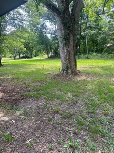 Charming Remodeled Ranch Style Home For Sale Bude Mississippi - image 24