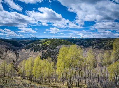 A Rare Find in Colorado - Views, Design, and Lifestyle All in One - image 12