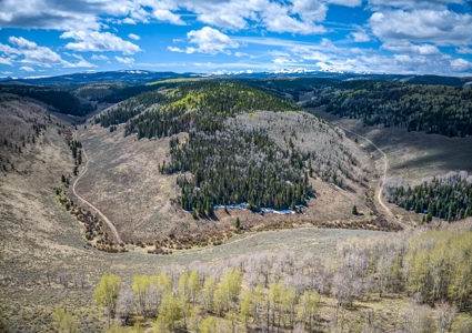 A Rare Find in Colorado - Views, Design, and Lifestyle All in One - image 13