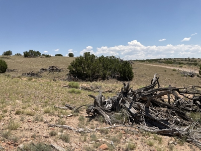 72-Acre Ranch in Saint Johns, Arizona for Sale - Off-Grid Living! - image 30