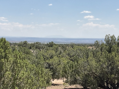 72-Acre Ranch in Saint Johns, Arizona for Sale - Off-Grid Living! - image 38