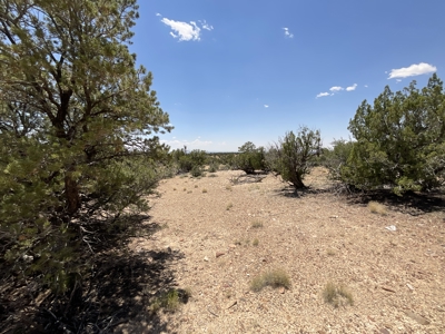 72-Acre Ranch in Saint Johns, Arizona for Sale - Off-Grid Living! - image 36