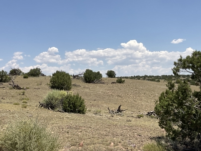 72-Acre Ranch in Saint Johns, Arizona for Sale - Off-Grid Living! - image 31