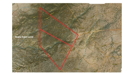 72-Acre Ranch in Saint Johns, Arizona for Sale - Off-Grid Living! - image 27