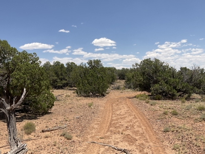 72-Acre Ranch in Saint Johns, Arizona for Sale - Off-Grid Living! - image 37