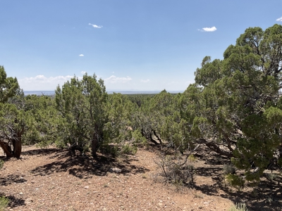 72-Acre Ranch in Saint Johns, Arizona for Sale - Off-Grid Living! - image 35