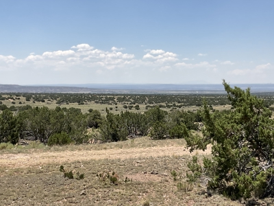 72-Acre Ranch in Saint Johns, Arizona for Sale - Off-Grid Living! - image 34