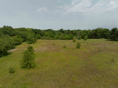 For Sale 20.5 Acres High Traffic Location On Hwy 69/75 - image 21
