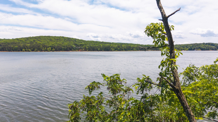 Offering #1 - Leesville Lake Lot for Sale VA! - image 6