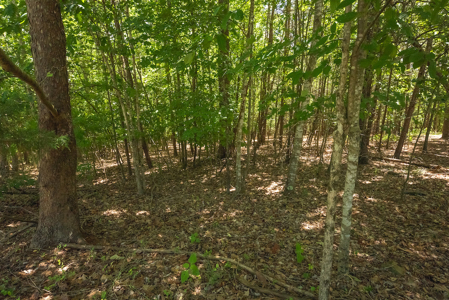 Offering #1 - Leesville Lake Lot for Sale VA! - image 11