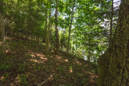 Offering #1 - Leesville Lake Lot for Sale VA! - image 18