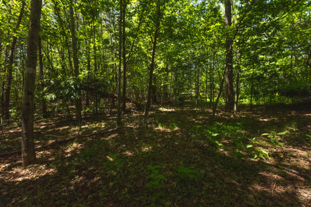 Offering #1 - Leesville Lake Lot for Sale VA! - image 25