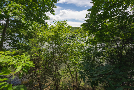 Offering #1 - Leesville Lake Lot for Sale VA! - image 21