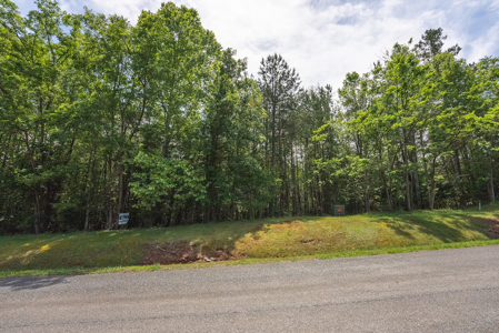 Offering #1 - Leesville Lake Lot for Sale VA! - image 8