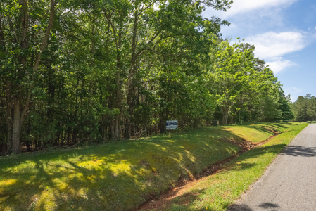Offering #1 - Leesville Lake Lot for Sale VA! - image 7