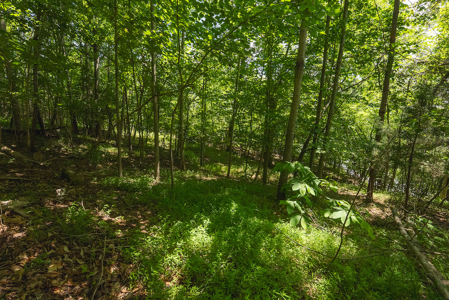 Offering #1 - Leesville Lake Lot for Sale VA! - image 14