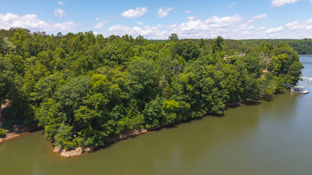 Offering #1 - Leesville Lake Lot for Sale VA! - image 2