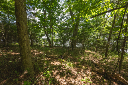 Offering #1 - Leesville Lake Lot for Sale VA! - image 17