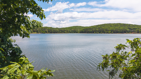 Offering #1 - Leesville Lake Lot for Sale VA! - image 5