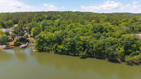 Offering #1 - Leesville Lake Lot for Sale VA! - image 4