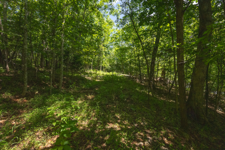 Offering #1 - Leesville Lake Lot for Sale VA! - image 15