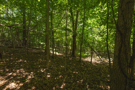 Offering #1 - Leesville Lake Lot for Sale VA! - image 13