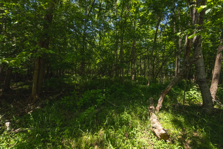 Offering #1 - Leesville Lake Lot for Sale VA! - image 23