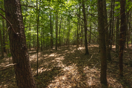 Offering #1 - Leesville Lake Lot for Sale VA! - image 12