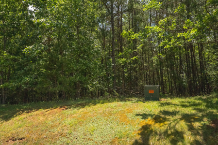 Offering #1 - Leesville Lake Lot for Sale VA! - image 10