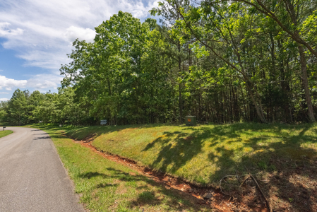 Offering #1 - Leesville Lake Lot for Sale VA! - image 9