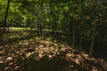 Offering #1 - Leesville Lake Lot for Sale VA! - image 22