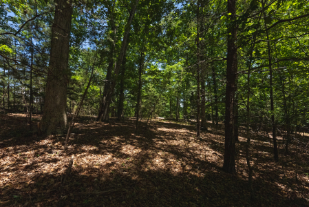 Offering #2 - Lakefront Lot for Sale in Campbell County VA - image 13