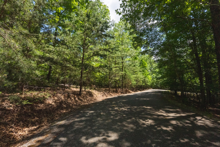 Offering #2 - Lakefront Lot for Sale in Campbell County VA - image 6