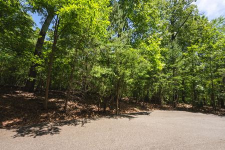Offering #2 - Lakefront Lot for Sale in Campbell County VA - image 16