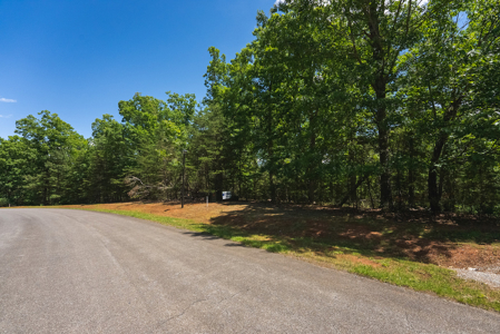 Offering #2 - Lakefront Lot for Sale in Campbell County VA - image 12