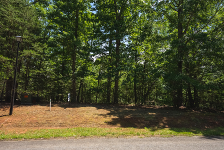 Offering #2 - Lakefront Lot for Sale in Campbell County VA - image 3