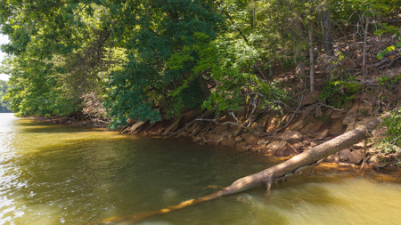 Offering #2 - Lakefront Lot for Sale in Campbell County VA - image 22