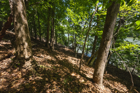 Offering #2 - Lakefront Lot for Sale in Campbell County VA - image 20